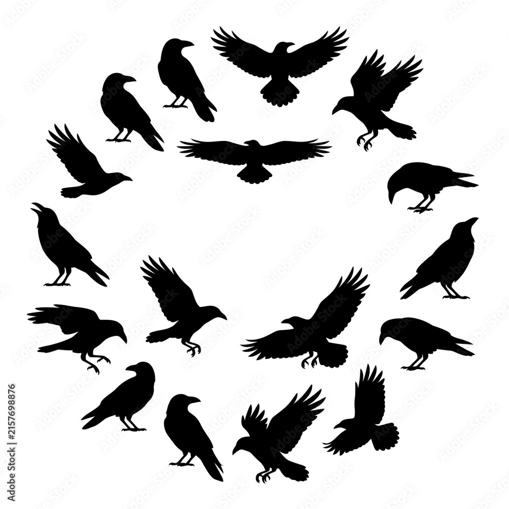Obraz premium Dark Raven Silhouettes Vector Collection, Spooky Crow Bird Set for Halloween, Gothic, Witchcraft and Grim Design Art isolated on White Background Halloween silhouette