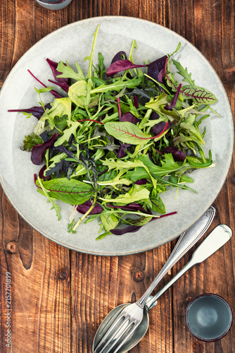 Fresh herb and leafy green salad mix