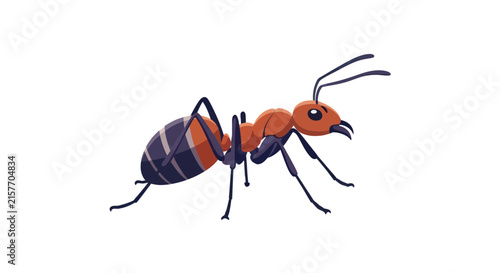Isolated Red Ant Insect with Black Stripes on Transparent Background