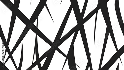Seamless Abstract Black White Tapered Stripe Geometric Pattern Background