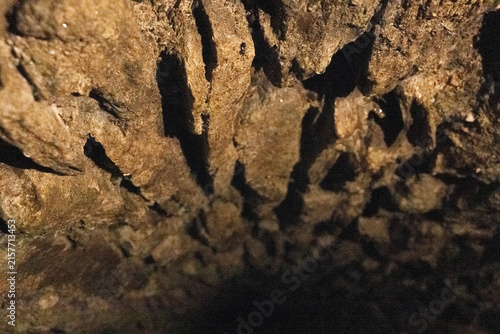 Obraz na płótnie stein höhle natur dunkel