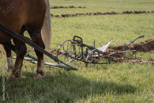 Vintage Horse-Drawn Plow with Furrowed Field