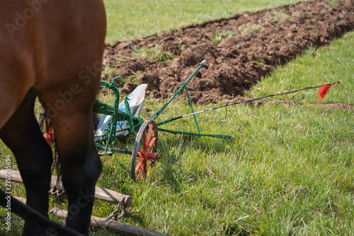 Vintage Horse-Drawn Plow on Grass Field