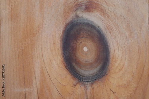 Natural Wood Grain Texture with Large Dark Knot in Timber