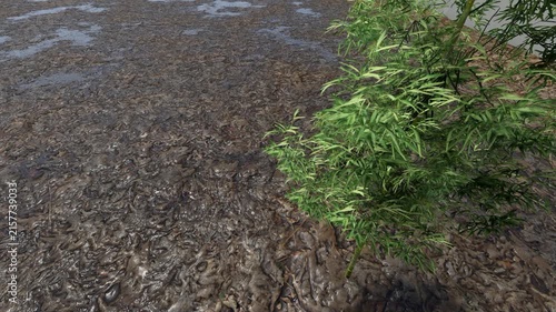 Close-up aerial drone footage of muddy wetland soil with sparse green grass patches transitioning