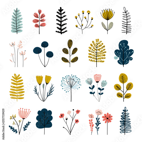Diverse Botanical Illustrations Collection for Design Elements