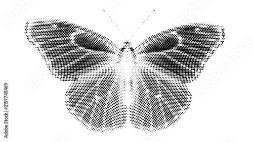Elegant butterfly vector illustration featuring detailed halftone patterns and crisp monochrome ink style lines displayed against a clean white background suitable for artistic design projects 