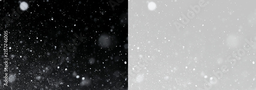 Canvas Print Falling snow overlay on transparent background