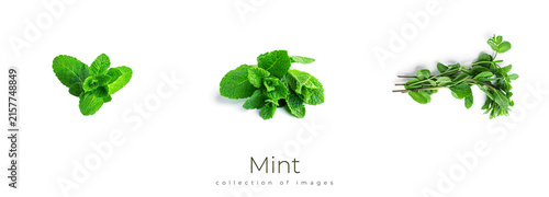 Quadro su tela Fresh, green mint leaves on a white background.