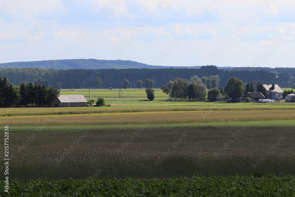 Fototapeta premium Rural landscape with green agricultural fields and distant village houses under cloudy sky