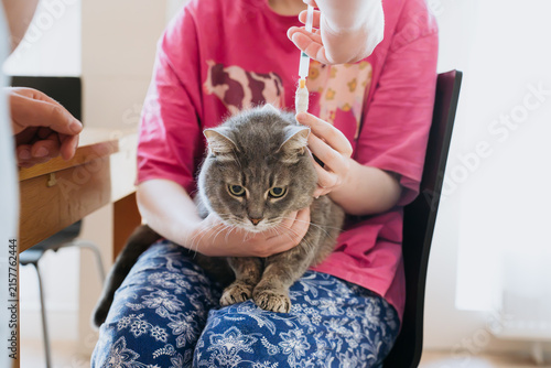 Pet owners restraining a gray cat while administering liquid medication through an esophagostomy tube at home. Cat tube medication