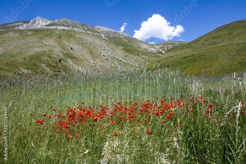 Monti Sibillini Nationalpark, Italien, im Frühling