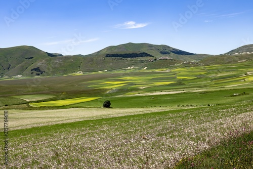 Monti Sibillini Nationalpark, Italien, im Frühling