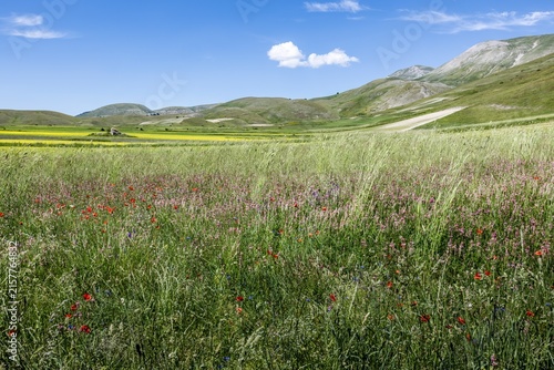 Monti Sibillini Nationalpark, Italien, im Frühling