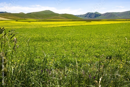 Monti Sibillini Nationalpark, Italien, im Frühling