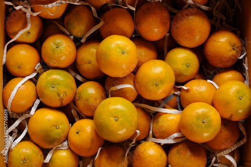 Ripe tangerine oranges packed in a paper box