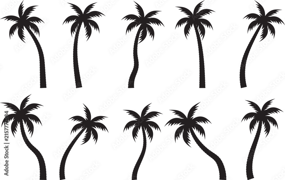 Fototapeta premium Set of palm tree silhouettes