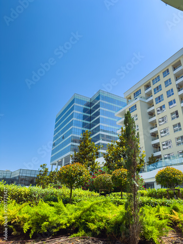 Bild auf Leinwand Bright day in a modern city with tall buildings and green plants in the foregrou