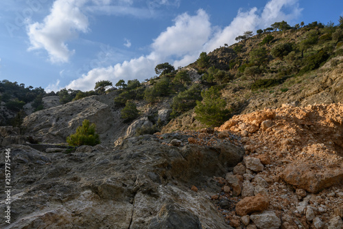 Photography Nature's artistry on display with rocky terrain and lush greenery under a bright