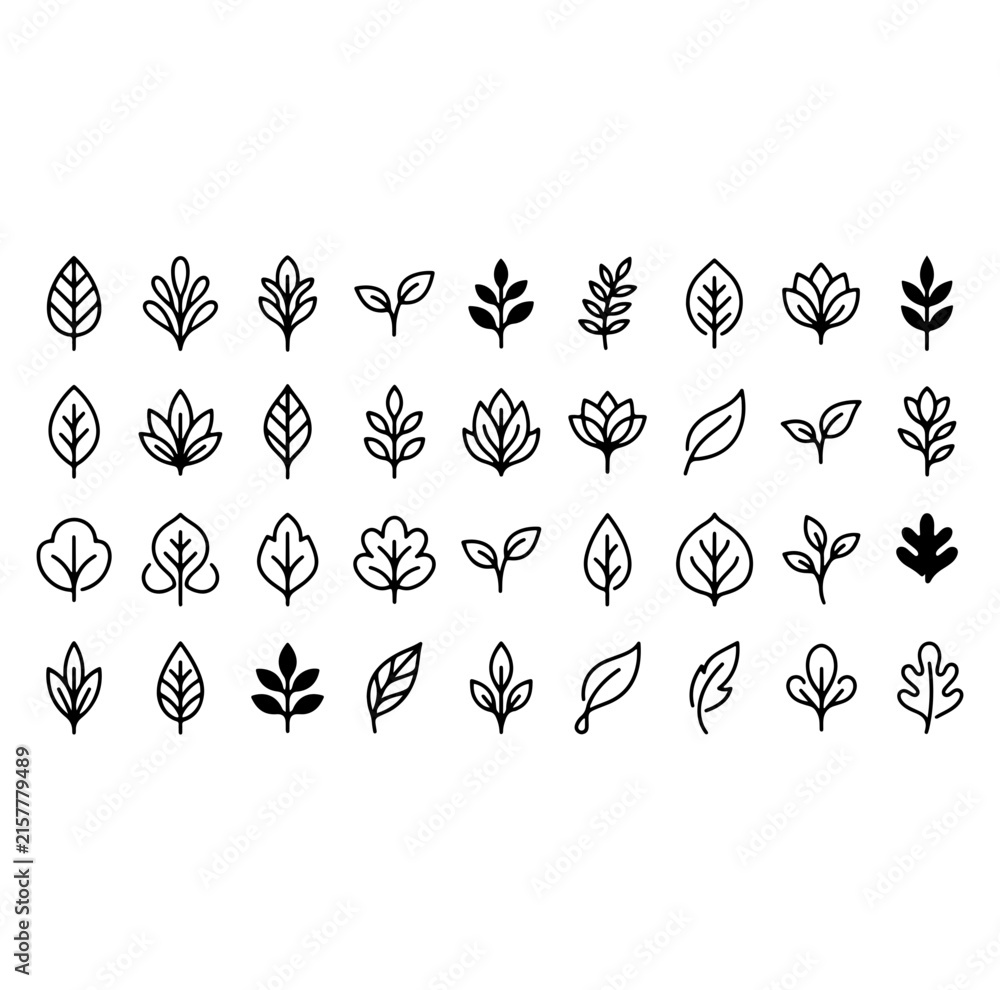 Obraz premium Botanical Leaf and Plant Line Art Vector Icon Set - Floral Foliage, Sprout, and Nature Outlines