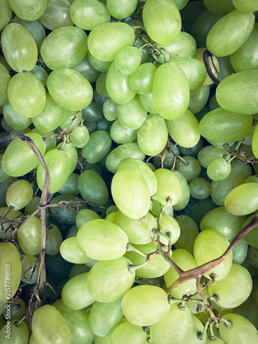 bunch of grapes. Close-up, natural fresh green seedless grapes. Grape background. Wine grapes