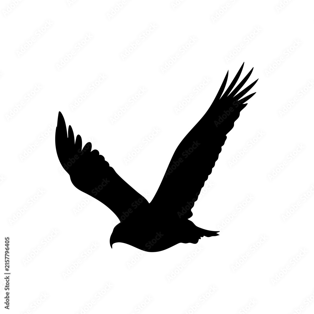 Fototapeta premium white dove flying