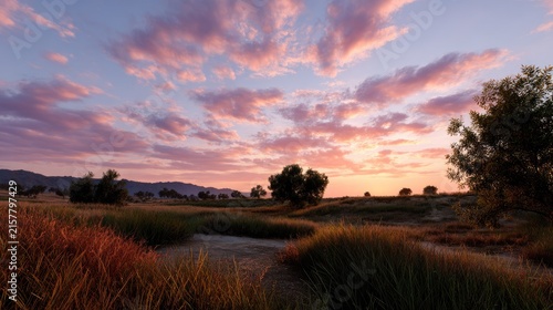 Serene Sunset over Arid Landscape: A breathtaking sunset paints the sky in hues of pink and orange above a vast, arid landscape, with silhouetted trees and dry grass creating a tranquil.