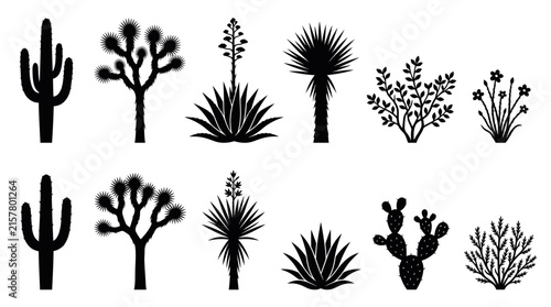 Black silhouettes of desert plants including saguaro cacti agave yucca and joshua trees on white background, illustrating landscape design assets and representing southwestern diversity