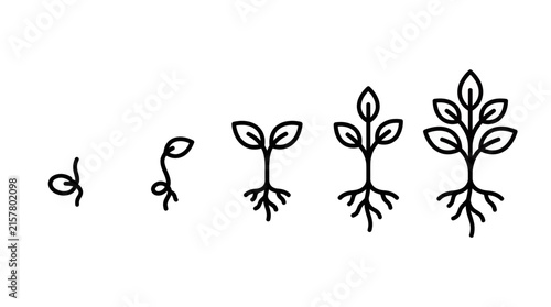 Sequential line art icons showing the life cycle of a plant from seed sprout to mature leaves and roots on white background, representing natural evolution, illustrating business growth concept