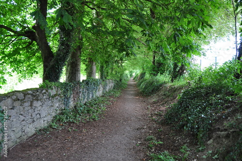 Town park in Killorglin, Ireland
