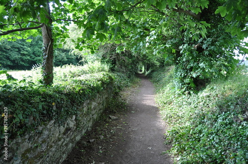 Town park in Killorglin, Ireland