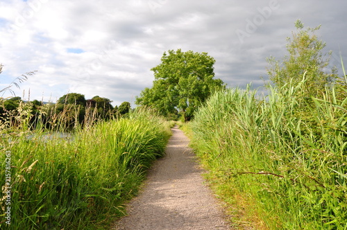 Town park in Killorglin, Ireland
