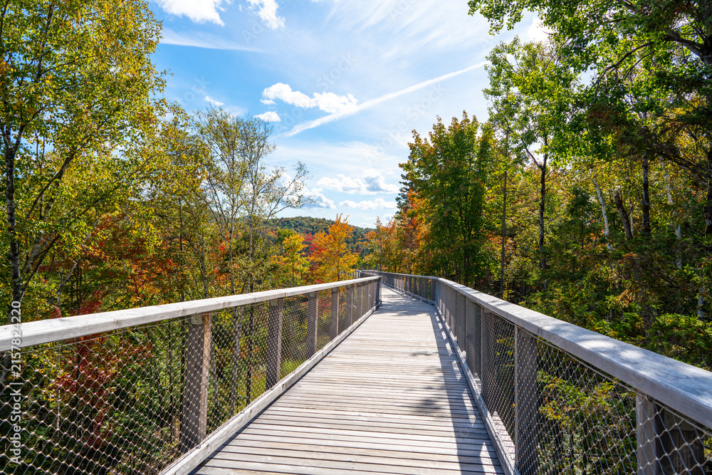 Fototapeta premium Sentier des cimes Laurentides, Montreal, Canada