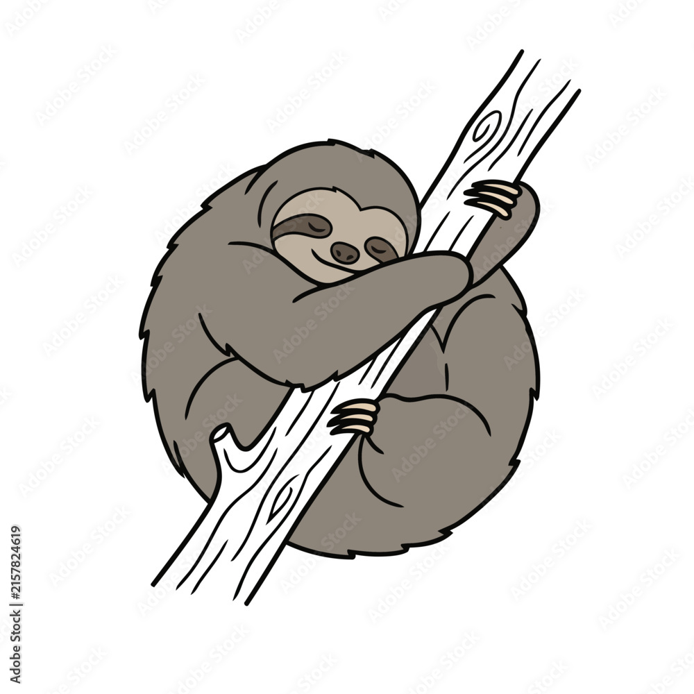 Naklejka premium Sloth hanging on a tree branch