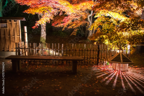Lantern light up by chair at Hogonin temple autumn garden, Arashiyama