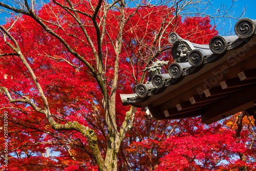 Demon and lion statue on roof with fall leaf colors in Jojakko-ji, Arashiyama