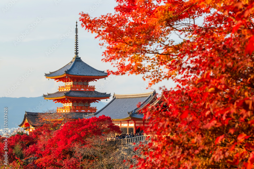 Naklejka premium Kiyomizu-dera pagoda with red maple leaf in fall at sunset, Kyoto