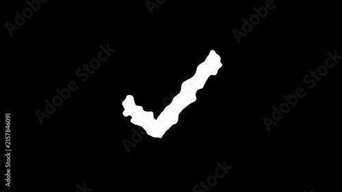 Animated check mark icon glowing motion graphic visual effect
