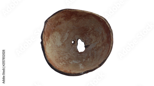 Fotografía Raw Whole Coconut with Fibrous Husk Isolated on Transparent Background