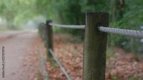 Wooden post with white rope along a forest path