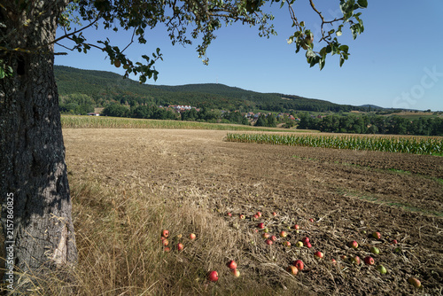 paysage agricole village en arrière plan