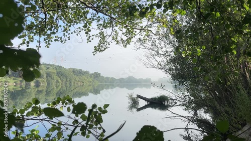 Calm misty river viewed through leafy tree branches framing