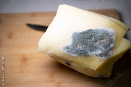 Blue-gray mold growing on a wedge of spoiled cheese
