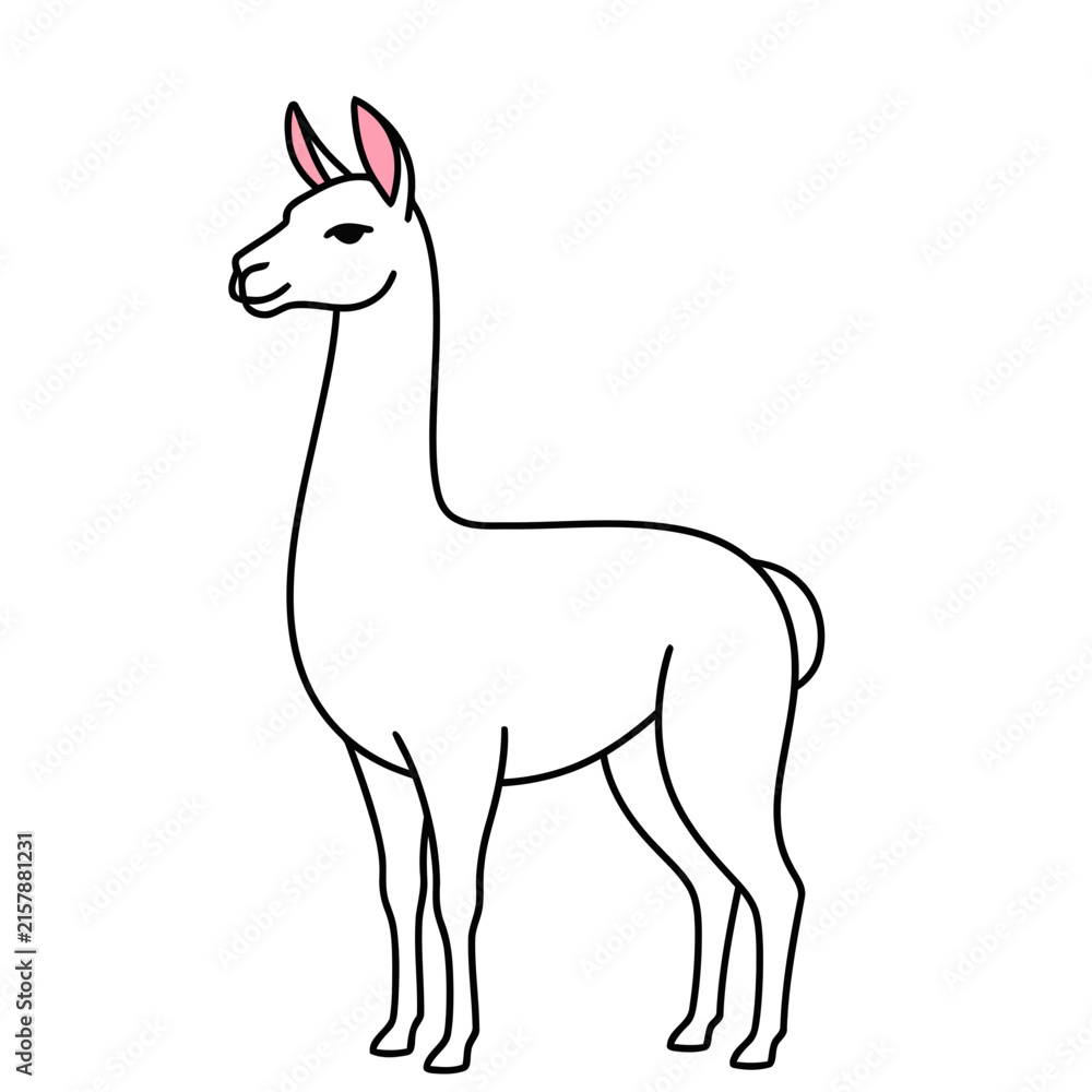 Naklejka premium White Llama Illustration