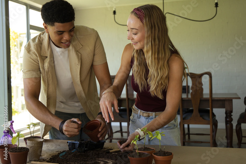 Photography Diverse couple planting seedlings at dining table using terracotta pots and purp