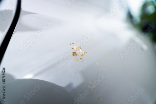 фотографія Bird excrement stain on gray car body paint surface