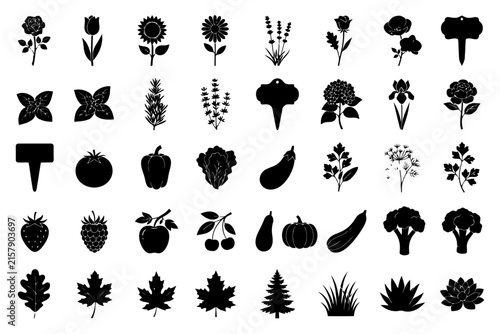 Silhouette icons of various flowers, fruits, vegetables, and trees.