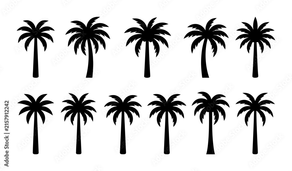 Fototapeta premium Palm Tree Silhouettes Vector Set Collection of Black Tropical Palms and Coconut Trees