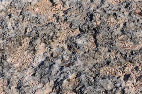 Textured rocky surface resembling ancient geological formations in nature's quiet