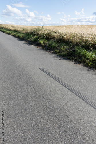 Asphalt road with visible tire tracks next to a golden hay field and green grass on a sunny day